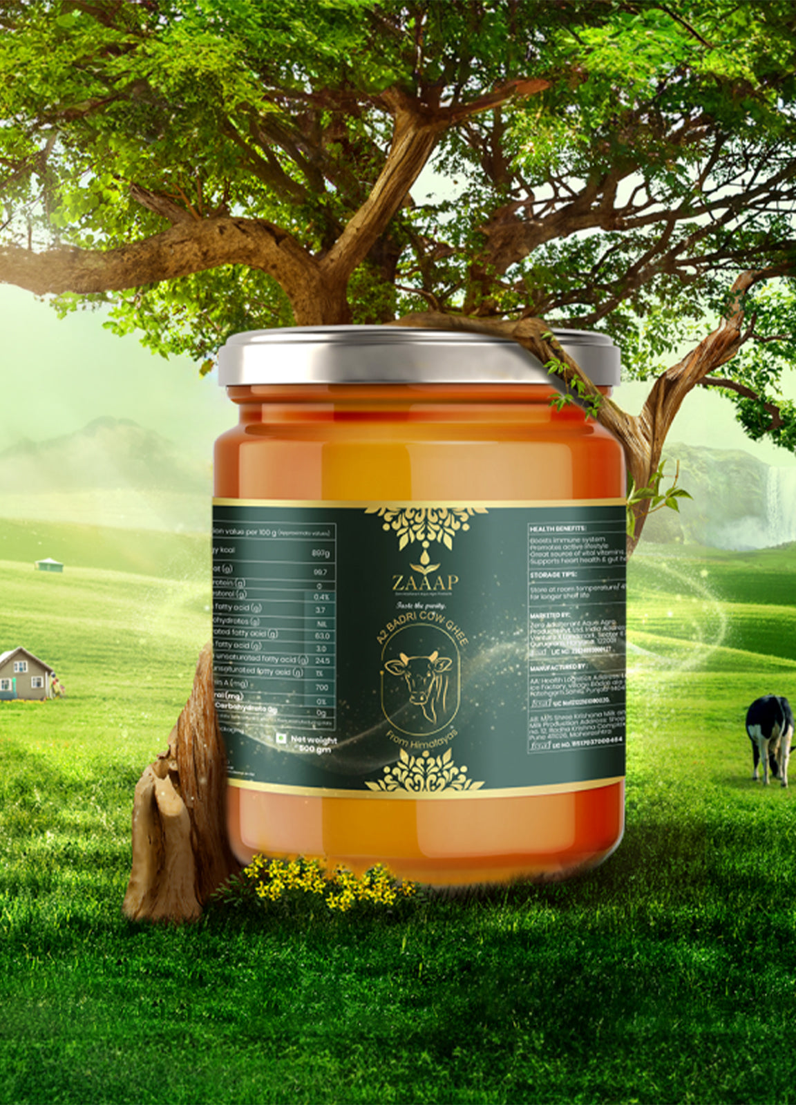 ZAAAP Organic Badri Cow Ghee - Pure A2 Ghee for Cooking, Wellness & Immunity